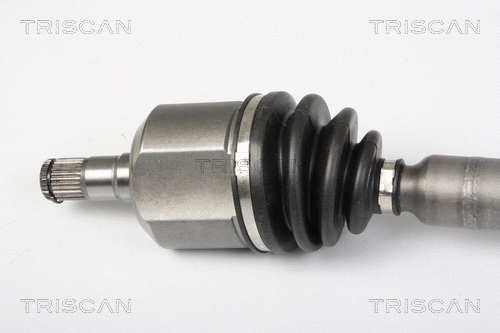 Drive Shaft