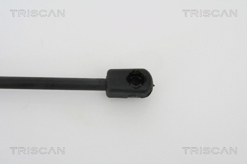 Gas Spring, rear window