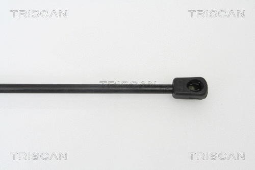 Gas Spring, boot/cargo area