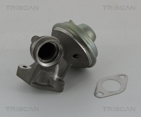 EGR Valve (8813 10102)