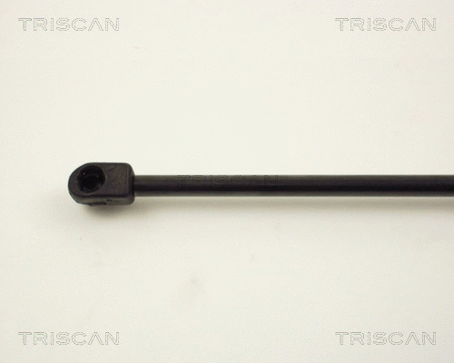 Gas Spring, boot/cargo area