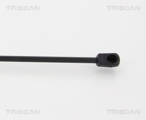 Gas Spring, boot/cargo area