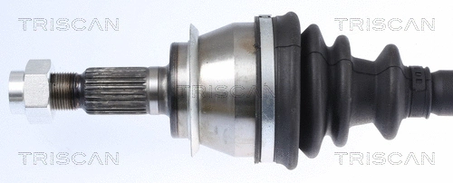 Drive Shaft