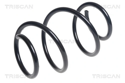 Suspension Spring (8750 11196)