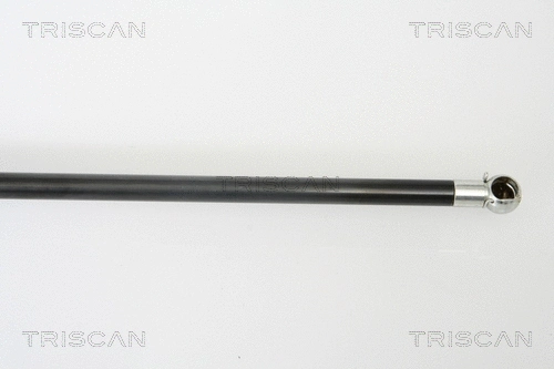 Gas Spring, boot/cargo area