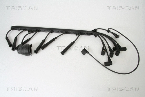 Ignition Cable Kit (8860 4171)