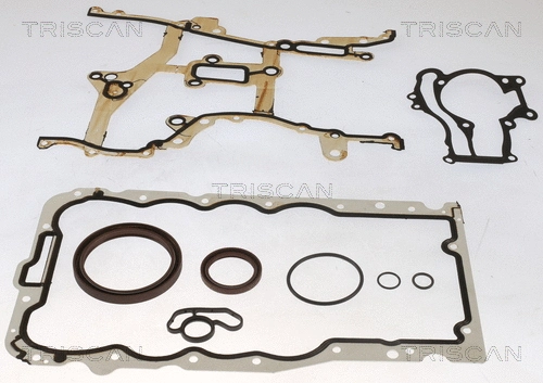 Gasket Kit, crankcase (595-50110)