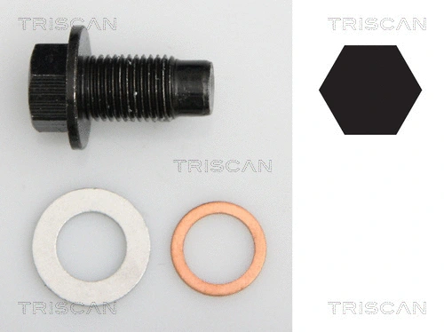 Screw Plug, oil sump (9500 1020)