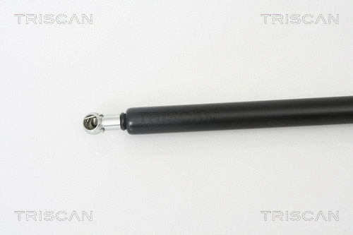 Gas Spring, boot/cargo area