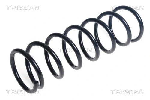 Suspension Spring (8750 14138)