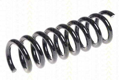 Suspension Spring (8750 23166)