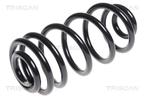 Suspension Spring (8750 24164)