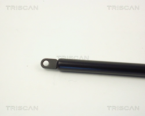 Gas Spring, boot/cargo area