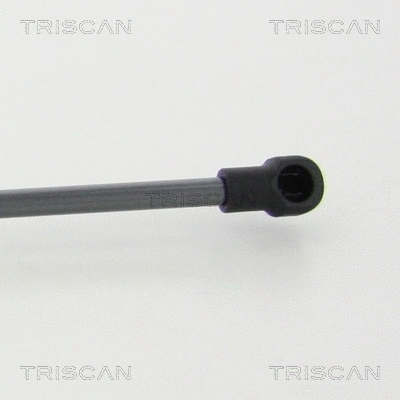 Gas Spring, boot/cargo area