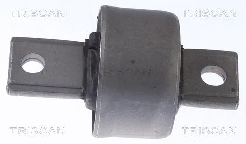 Mounting, control/trailing arm (8500 10894)