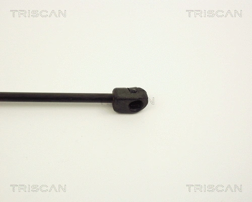 Gas Spring, boot/cargo area