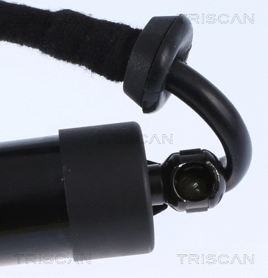 Gas Spring, boot/cargo area