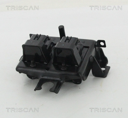 Ignition Coil (8860 50024)