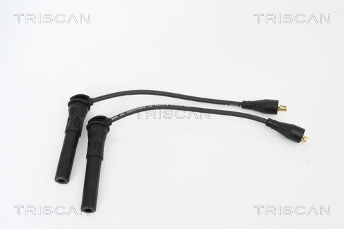 Ignition Cable Kit (8860 17003)