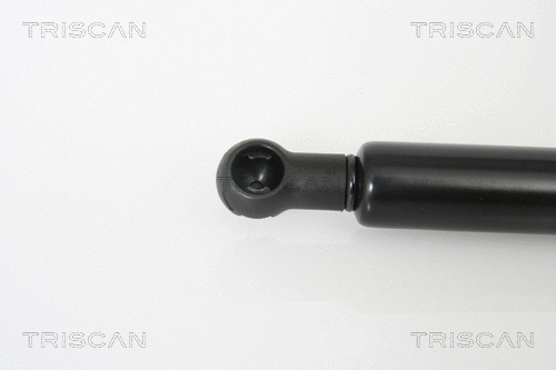 Gas Spring, bonnet