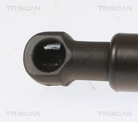 Gas Spring, boot/cargo area