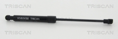 Gas Spring, bonnet (8710 24109)
