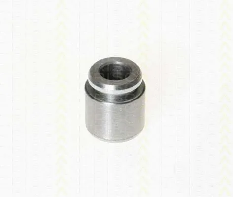 Piston, brake caliper (8170 232801)