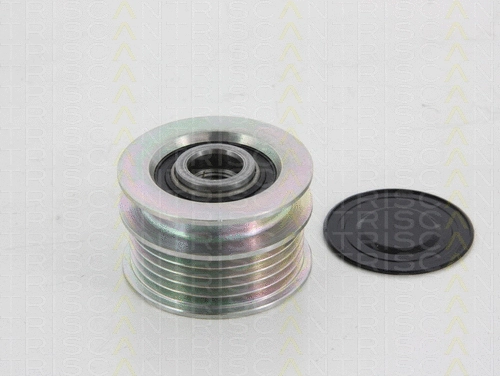 Alternator Freewheel Clutch (8641 244010)