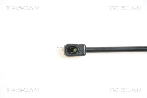 Gas Spring, boot/cargo area