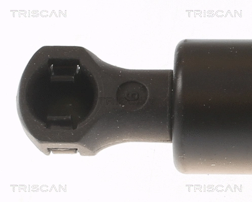Gas Spring, boot/cargo area