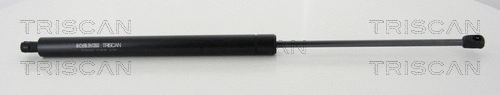 Gas Spring, boot/cargo area (8710 16276)