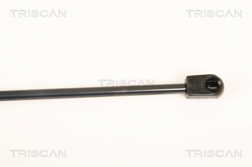 Gas Spring, boot/cargo area