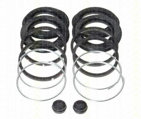Repair Kit, brake caliper (8170 204407)