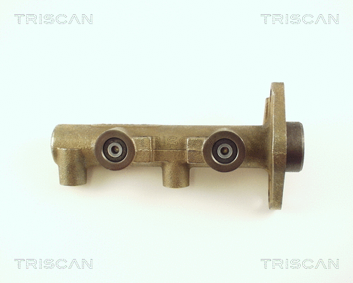 Brake Master Cylinder (8130 65101)