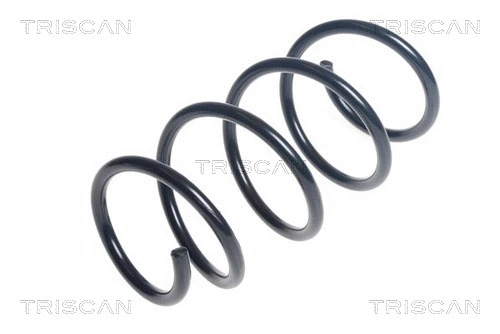 Suspension Spring (8750 29427)