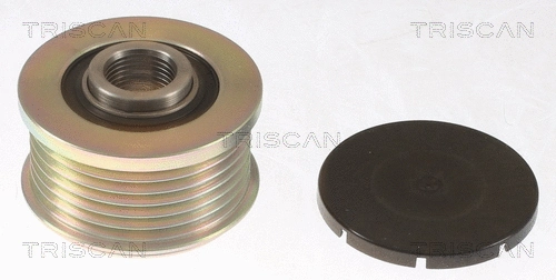 Alternator Freewheel Clutch (8641 104023)