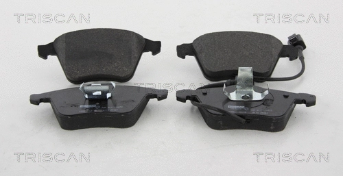 Brake Pad Set, disc brake (8110 29061)
