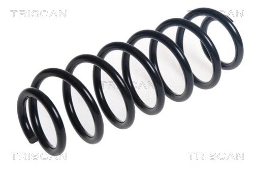 Suspension Spring (8750 29494)