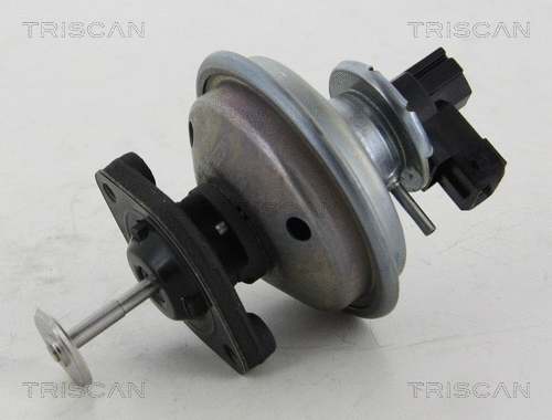EGR Valve (8813 11002)