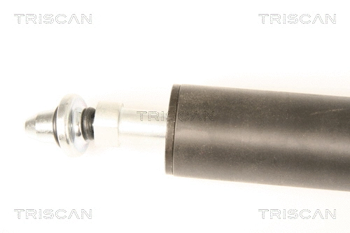 Gas Spring, boot/cargo area