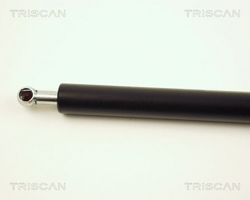 Gas Spring, boot/cargo area