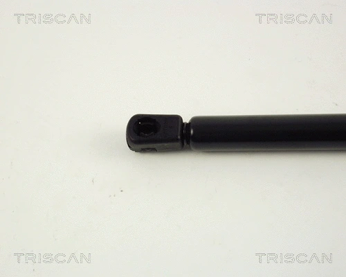 Gas Spring, boot/cargo area