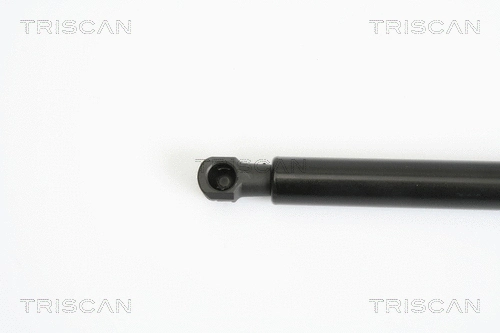 Gas Spring, boot/cargo area