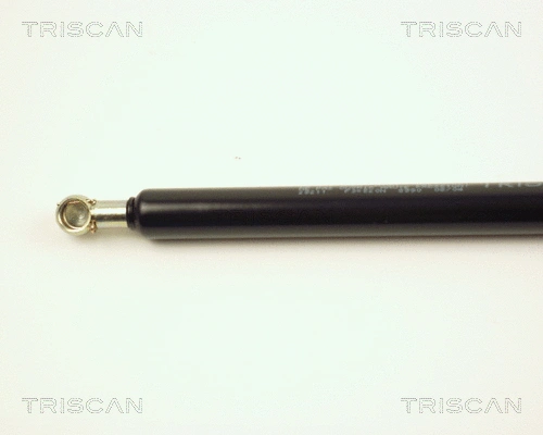 Gas Spring, boot/cargo area