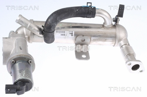 EGR Valve (8813 43041)