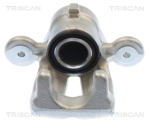 Brake Caliper (8175 11231)