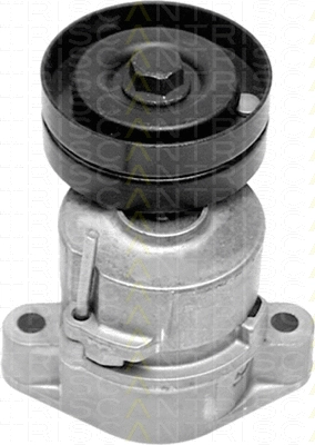 Belt Tensioner, V-ribbed belt (8641 243001)
