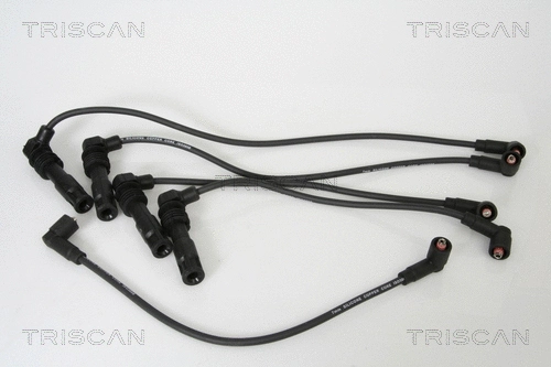 Ignition Cable Kit (8860 4205)