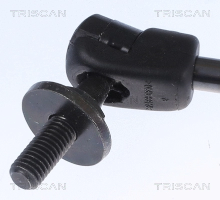 Gas Spring, boot/cargo area