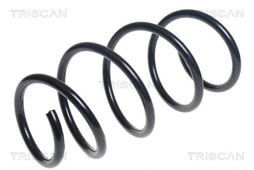 Suspension Spring (8750 13227)